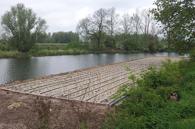 Productafbeelding van rietfilters